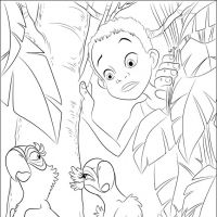 Desenhos para colorir Rio - Filme