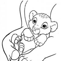 Desenhos para colorir Simba