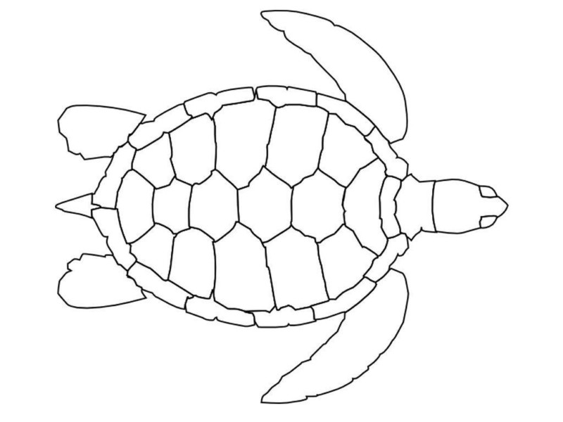 Desenho para colorir
