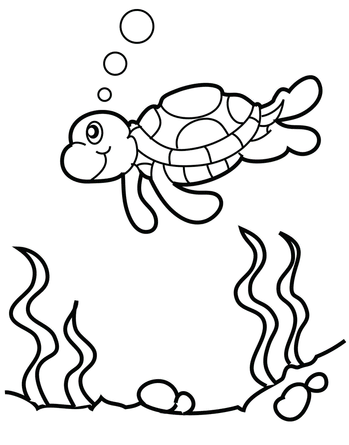 Desenho para colorir