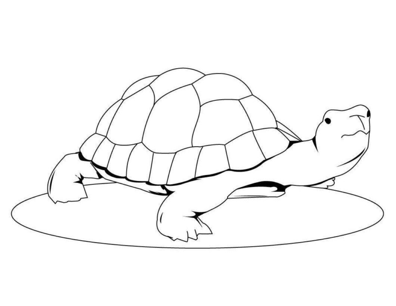 Desenho para colorir