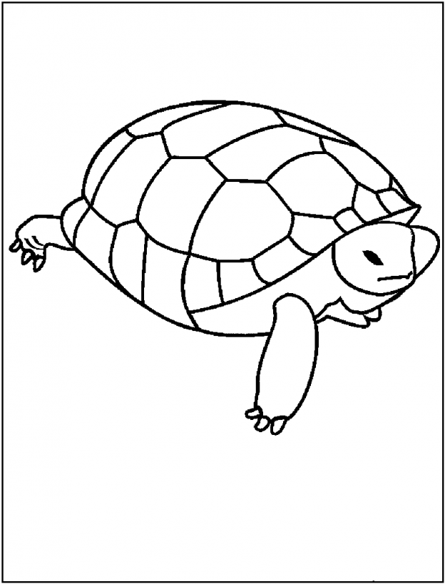 Desenho para colorir