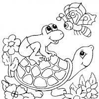Desenhos para colorir Tartarugas