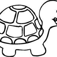 Desenhos para colorir Tartarugas
