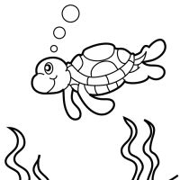 Desenhos para colorir Tartarugas