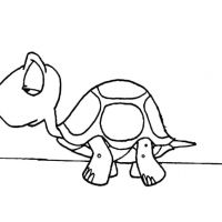 Desenhos para colorir Tartarugas