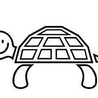 Desenhos para colorir Tartarugas