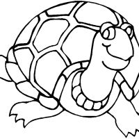 Desenhos para colorir Tartarugas