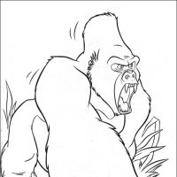 Tarzan