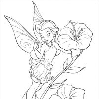 Desenhos para colorir Tinker bell