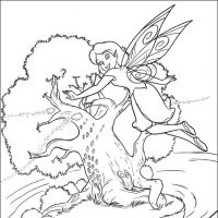 Tinker bell