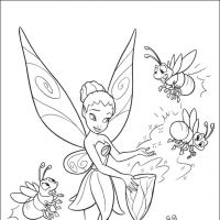 Tinker bell