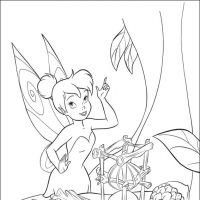 Tinker bell