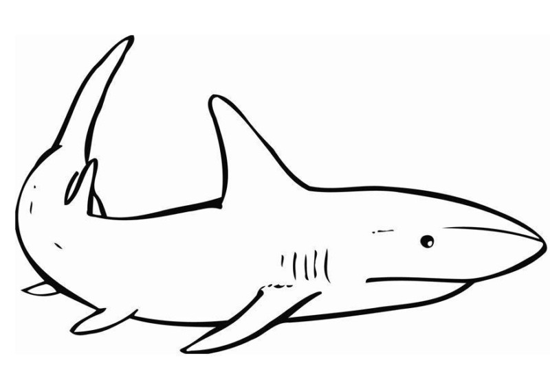 Desenho para colorir