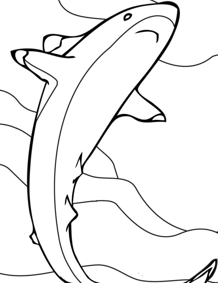 Desenho para colorir