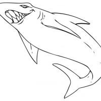 Desenhos para colorir Tubarões