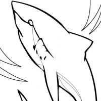 Desenhos para colorir Tubarões
