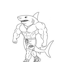 Desenhos para colorir Tubarões