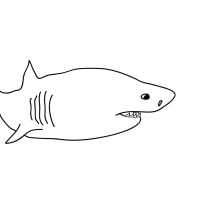 Desenhos para colorir Tubarões