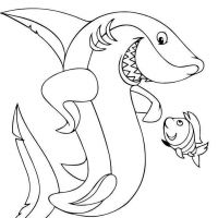 Desenhos para colorir Tubarões