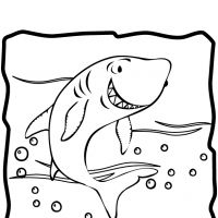 Desenhos para colorir Tubarões