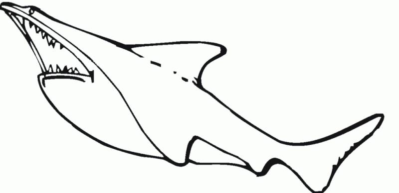 Desenho para colorir