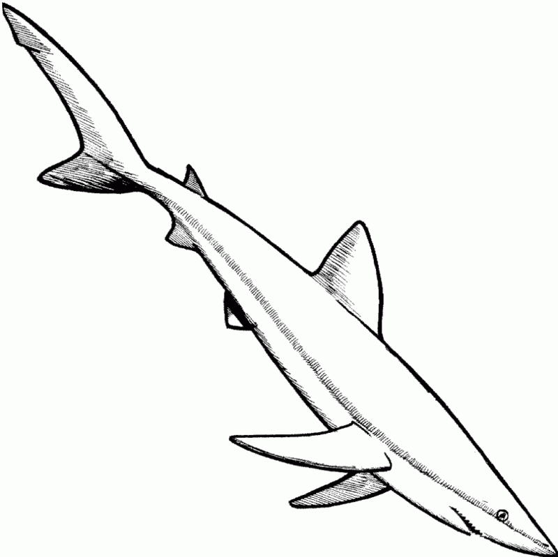Desenho para imprimir