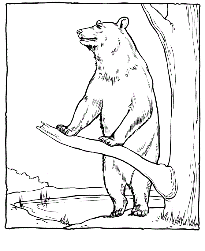Desenho para imprimir