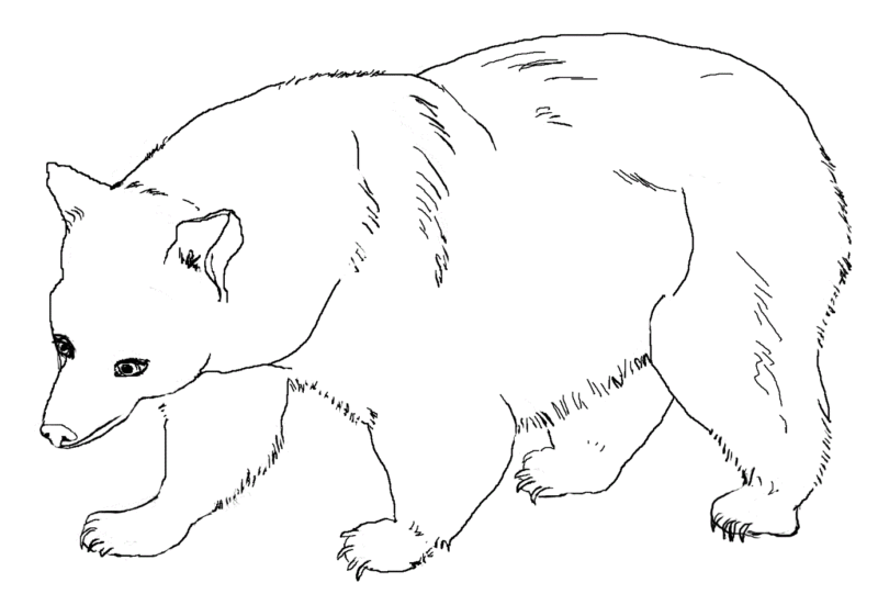 Desenho para colorir