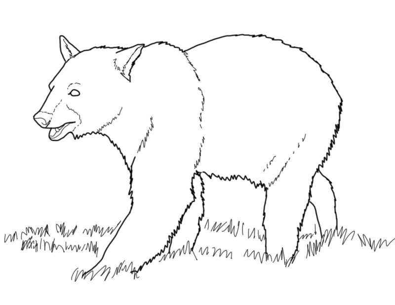 Desenho para imprimir