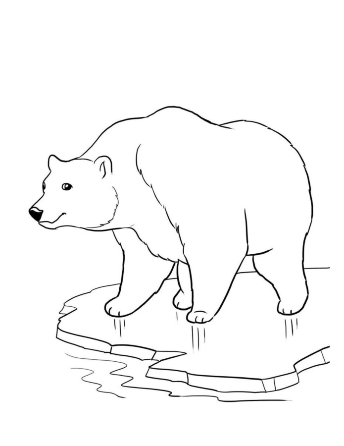 Desenho para imprimir