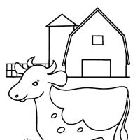 Vacas
