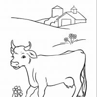 Vacas