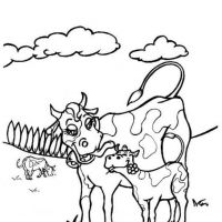 Vacas