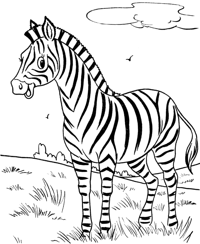 Desenho para colorir