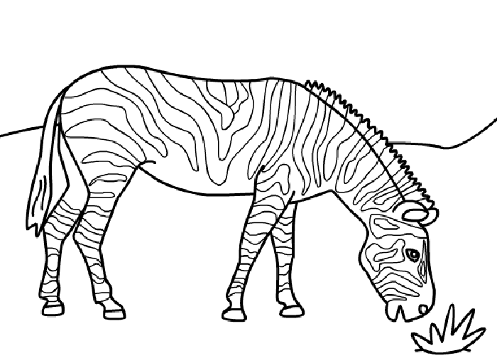 Desenho para imprimir